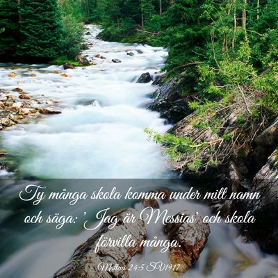 Picture 03 - Matteus 24:5 SV1917 - Ty många skola komma under mitt namn och säga: - Bible Verse Picture