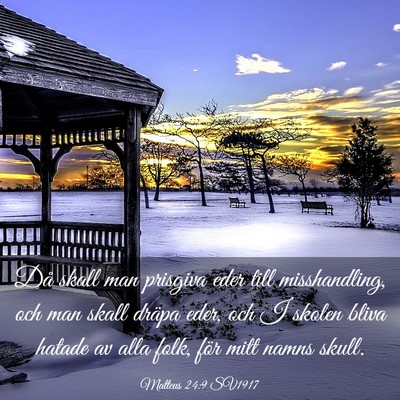 Picture 03 - Matteus 24:9 SV1917 - Då skall man prisgiva eder till misshandling, - Bible Verse Picture