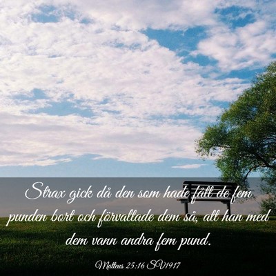 Picture 03 - Matteus 25:16 SV1917 - Strax gick då den som hade fått de fem punden - Bible Verse Picture