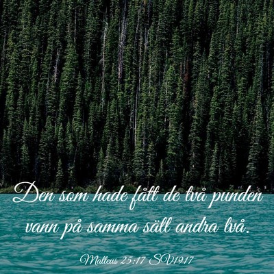Picture 03 - Matteus 25:17 SV1917 - Den som hade fått de två punden vann på samma - Bible Verse Picture