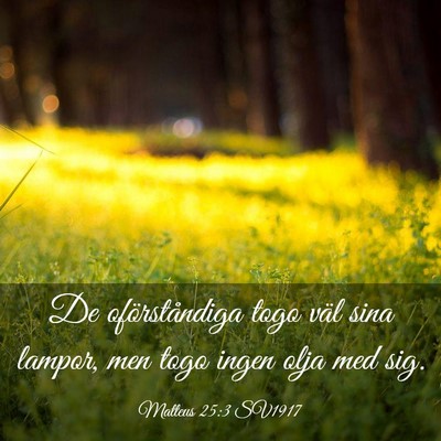 Picture 03 - Matteus 25:3 SV1917 - De oförståndiga togo väl sina lampor, men togo - Bible Verse Picture