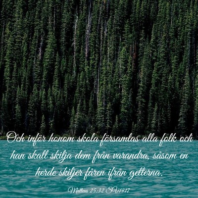 Picture 03 - Matteus 25:32 SV1917 - Och inför honom skola församlas alla folk och - Bible Verse Picture