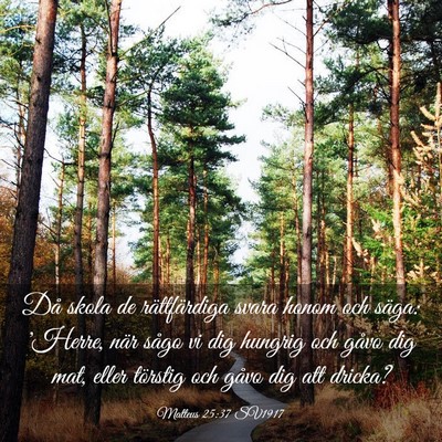Picture 03 - Matteus 25:37 SV1917 - Då skola de rättfärdiga svara honom och säga: - Bible Verse Picture
