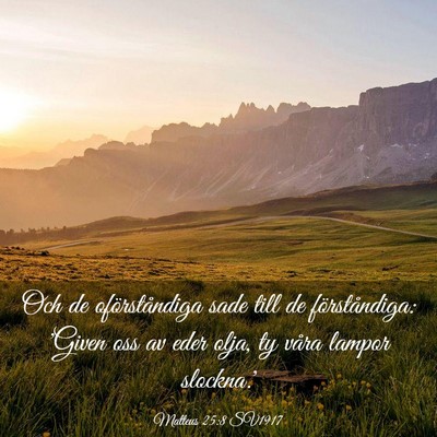 Picture 03 - Matteus 25:8 SV1917 - Och de oförståndiga sade till de förståndiga: - Bible Verse Picture