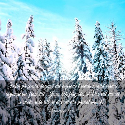 Picture 03 - Matteus 26:17 SV1917 - Men på första dagen i det osyrade brödets - Bible Verse Picture