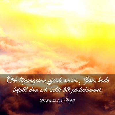 Picture 03 - Matteus 26:19 SV1917 - Och lärjungarna gjorde såsom Jesus hade befallt - Bible Verse Picture