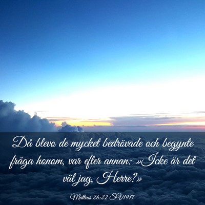 Picture 03 - Matteus 26:22 SV1917 - Då blevo de mycket bedrövade och begynte fråga - Bible Verse Picture
