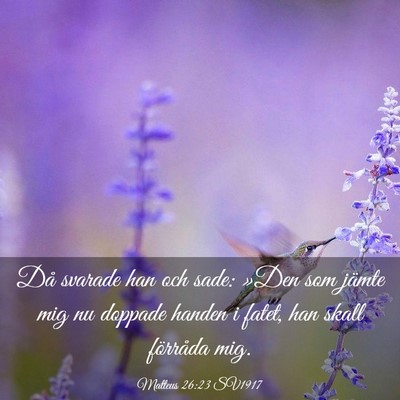 Picture 03 - Matteus 26:23 SV1917 - Då svarade han och sade: »Den som jämte mig nu - Bible Verse Picture