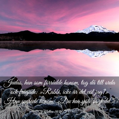 Picture 03 - Matteus 26:25 SV1917 - Judas, han som förrådde honom, tog då till - Bible Verse Picture