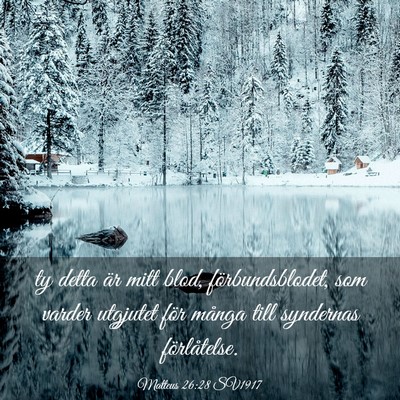 Picture 03 - Matteus 26:28 SV1917 - ty detta är mitt blod, förbundsblodet, som - Bible Verse Picture
