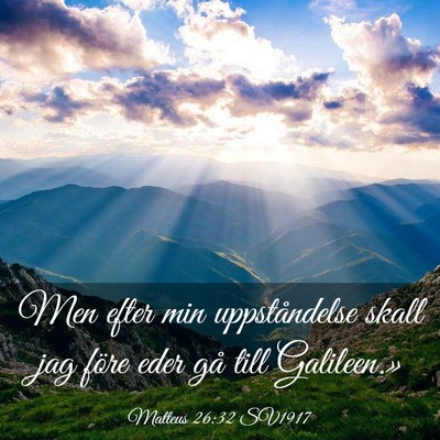 Picture 03 - Matteus 26:32 SV1917 - Men efter min uppståndelse skall jag före eder - Bible Verse Picture