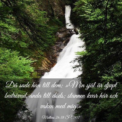 Picture 03 - Matteus 26:38 SV1917 - Då sade han till dem: »Min själ är djupt - Bible Verse Picture