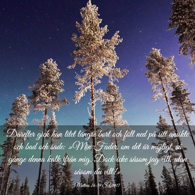 Picture 03 - Matteus 26:39 SV1917 - Därefter gick han litet längre bort och föll - Bible Verse Picture