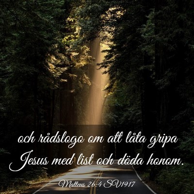 Picture 03 - Matteus 26:4 SV1917 - och rådslogo om att låta gripa Jesus med list - Bible Verse Picture