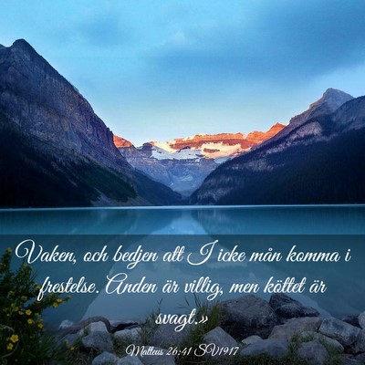 Picture 03 - Matteus 26:41 SV1917 - Vaken, och bedjen att I icke mån komma i - Bible Verse Picture