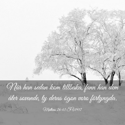 Picture 03 - Matteus 26:43 SV1917 - När han sedan kom tillbaka, fann han dem åter - Bible Verse Picture