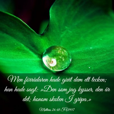 Picture 03 - Matteus 26:48 SV1917 - Men förrädaren hade givit dem ett tecken; han - Bible Verse Picture