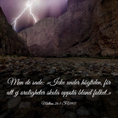 Picture 03 - Matteus 26:5 SV1917 - Men de sade: »Icke under högtiden, för att ej - Bible Verse Picture