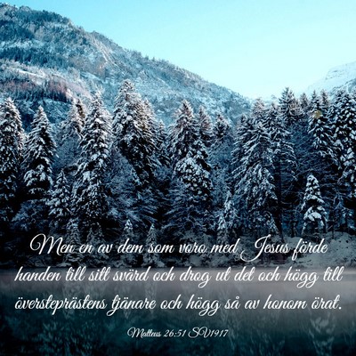 Picture 03 - Matteus 26:51 SV1917 - Men en av dem som voro med Jesus förde handen - Bible Verse Picture