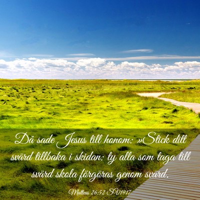 Picture 03 - Matteus 26:52 SV1917 - Då sade Jesus till honom: »Stick ditt svärd - Bible Verse Picture