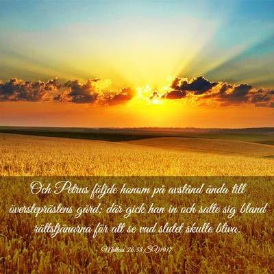 Picture 03 - Matteus 26:58 SV1917 - Och Petrus följde honom på avstånd ända till - Bible Verse Picture