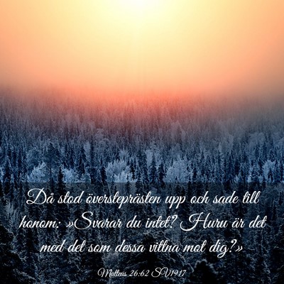 Picture 03 - Matteus 26:62 SV1917 - Då stod översteprästen upp och sade till - Bible Verse Picture