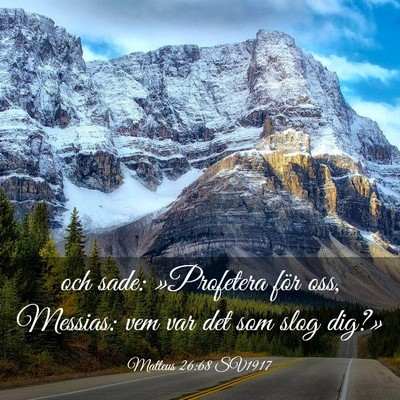 Picture 03 - Matteus 26:68 SV1917 - och sade: »Profetera för oss, Messias: vem var - Bible Verse Picture