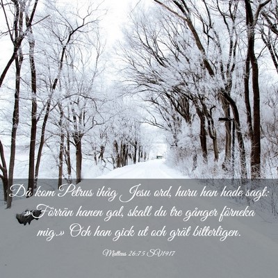 Picture 03 - Matteus 26:75 SV1917 - Då kom Petrus ihåg Jesu ord, huru han hade - Bible Verse Picture