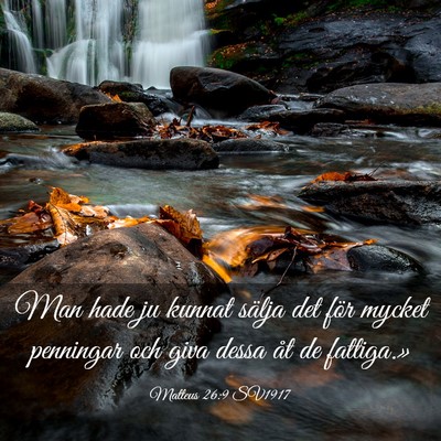 Picture 03 - Matteus 26:9 SV1917 - Man hade ju kunnat sälja det för mycket - Bible Verse Picture