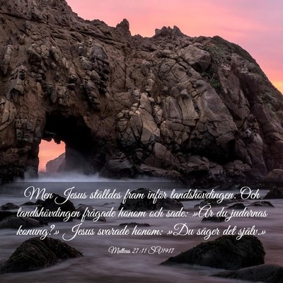 Picture 03 - Matteus 27:11 SV1917 - Men Jesus ställdes fram inför landshövdingen. - Bible Verse Picture