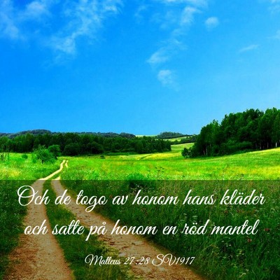 Picture 03 - Matteus 27:28 SV1917 - Och de togo av honom hans kläder och satte på - Bible Verse Picture