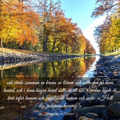 Picture 03 - Matteus 27:29 SV1917 - och vredo samman en krona av törnen och satte - Bible Verse Picture