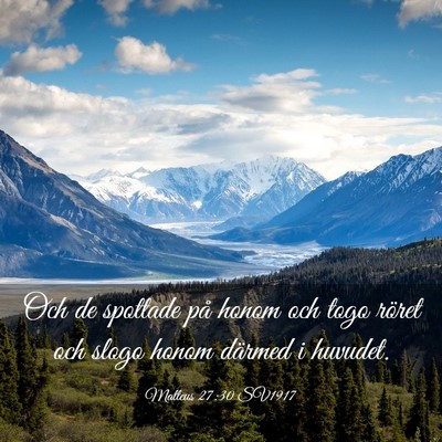 Picture 03 - Matteus 27:30 SV1917 - Och de spottade på honom och togo röret och - Bible Verse Picture