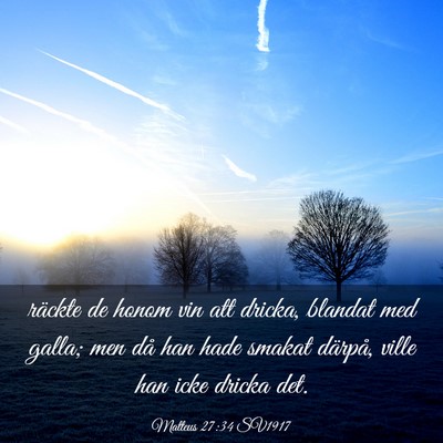Picture 03 - Matteus 27:34 SV1917 - räckte de honom vin att dricka, blandat med - Bible Verse Picture