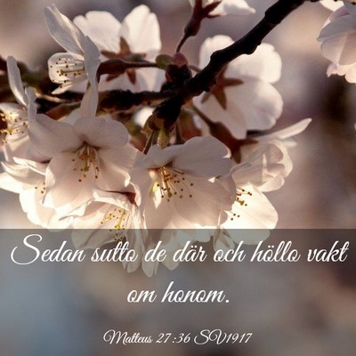 Picture 03 - Matteus 27:36 SV1917 - Sedan sutto de där och höllo vakt om - Bible Verse Picture