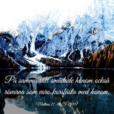 Picture 03 - Matteus 27:44 SV1917 - På samma sätt smädade honom också rövarna - Bible Verse Picture