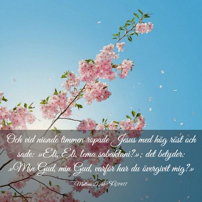 Picture 03 - Matteus 27:46 SV1917 - Och vid nionde timmen ropade Jesus med hög röst - Bible Verse Picture