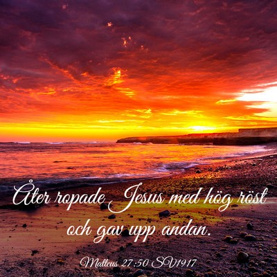Picture 03 - Matteus 27:50 SV1917 - Åter ropade Jesus med hög röst och gav upp - Bible Verse Picture