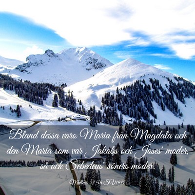 Picture 03 - Matteus 27:56 SV1917 - Bland dessa voro Maria från Magdala och den - Bible Verse Picture