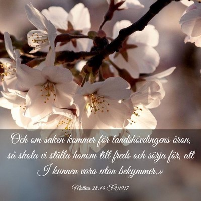 Picture 03 - Matteus 28:14 SV1917 - Och om saken kommer för landshövdingens öron, - Bible Verse Picture