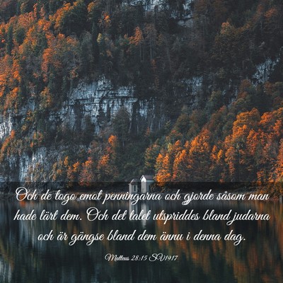 Picture 03 - Matteus 28:15 SV1917 - Och de togo emot penningarna och gjorde såsom - Bible Verse Picture