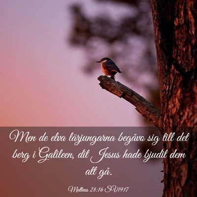 Picture 03 - Matteus 28:16 SV1917 - Men de elva lärjungarna begåvo sig till det - Bible Verse Picture