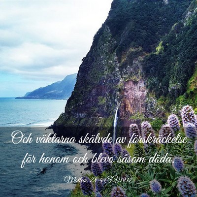 Picture 03 - Matteus 28:4 SV1917 - Och väktarna skälvde av förskräckelse för - Bible Verse Picture