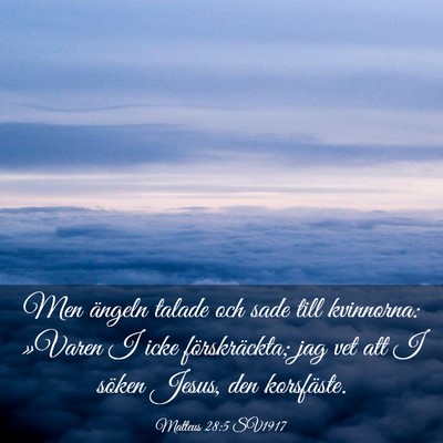 Picture 03 - Matteus 28:5 SV1917 - Men ängeln talade och sade till kvinnorna: - Bible Verse Picture