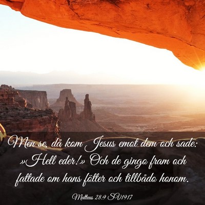 Picture 03 - Matteus 28:9 SV1917 - Men se, då kom Jesus emot dem och sade: »Hell - Bible Verse Picture