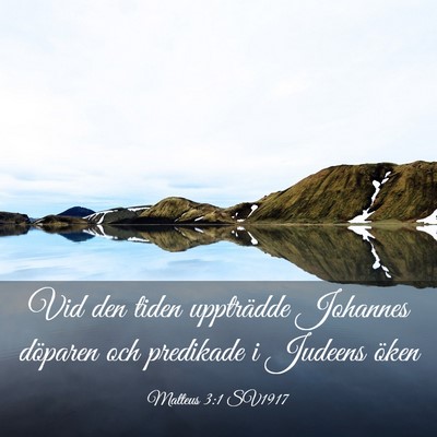 Picture 03 - Matteus 3:1 SV1917 - Vid den tiden uppträdde Johannes döparen och - Bible Verse Picture