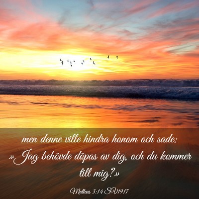 Picture 03 - Matteus 3:14 SV1917 - men denne ville hindra honom och sade: »Jag - Bible Verse Picture