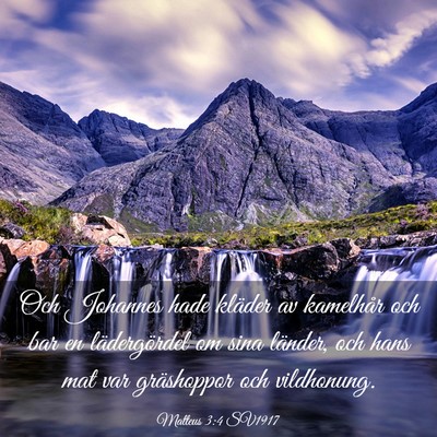 Picture 03 - Matteus 3:4 SV1917 - Och Johannes hade kläder av kamelhår och bar en - Bible Verse Picture