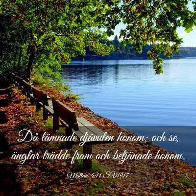 Picture 03 - Matteus 4:11 SV1917 - Då lämnade djävulen honom; och se, änglar - Bible Verse Picture