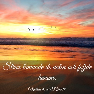 Picture 03 - Matteus 4:20 SV1917 - Strax lämnade de näten och följde - Bible Verse Picture
